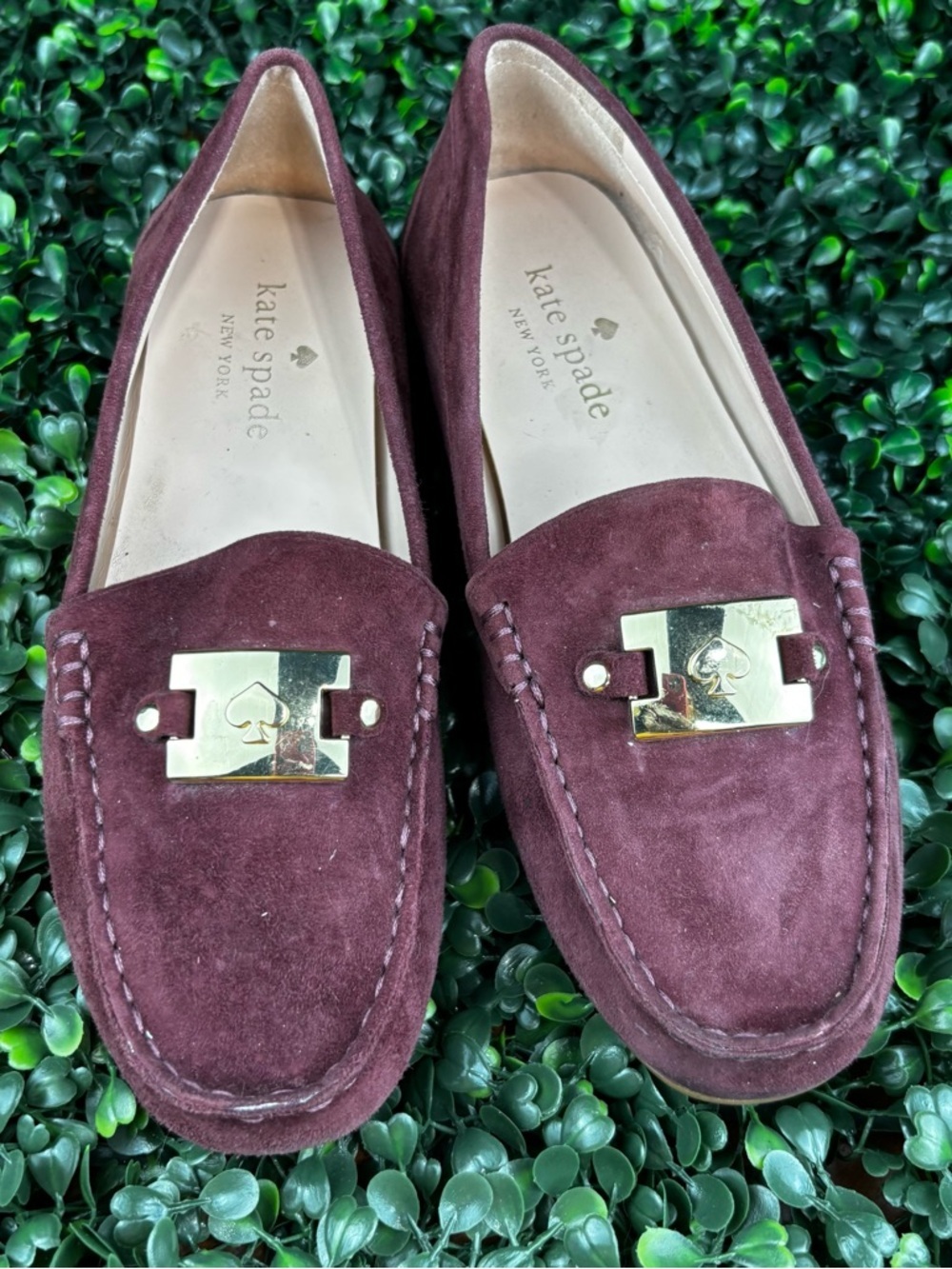 KATE SPADE CARMEN LOAFERS IN BURGUNDY SUEDE WITH GOLD HARDWARE SIZE 6 Woman